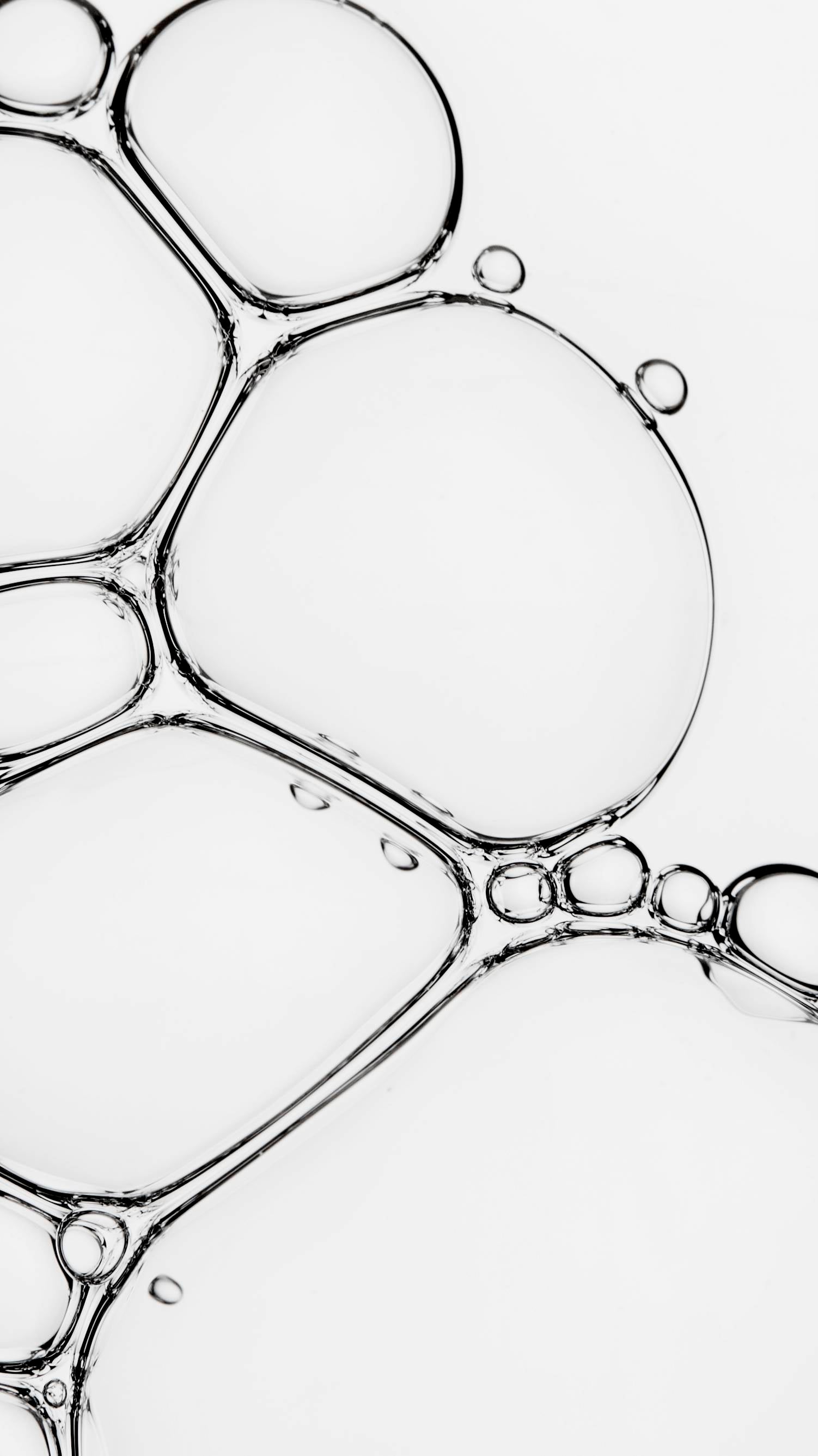 A41909D7-CD2A-FC58-CB82-1D2F9EB76B15